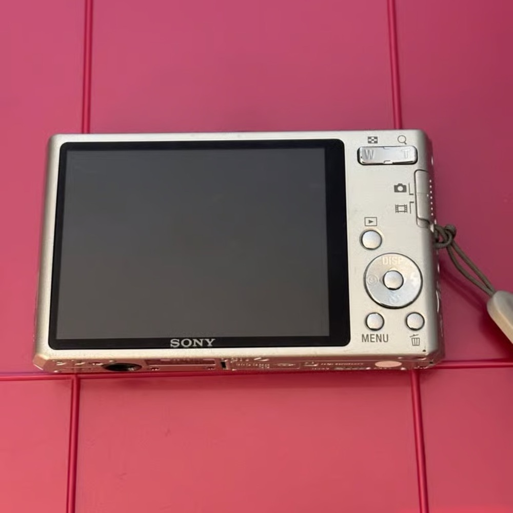 Sony Gray Digital Camera with Large Screen